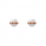 DANIEL WELLINGTON - ASPIRATION EARRINGS ROSE GOLD