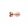 DANIEL WELLINGTON - ASPIRATION EARRINGS ROSE GOLD