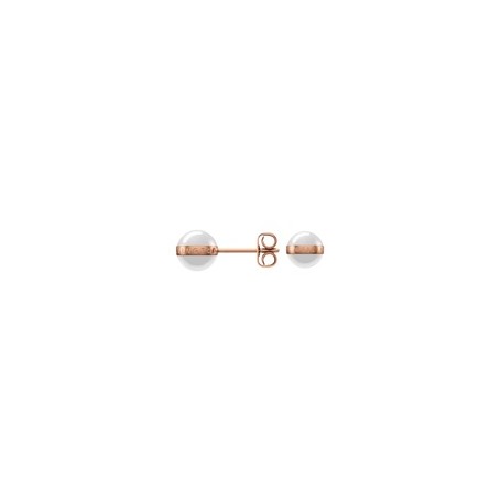 DANIEL WELLINGTON - ASPIRATION EARRINGS ROSE GOLD