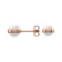 DANIEL WELLINGTON - ASPIRATION EARRINGS ROSE GOLD