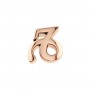 ELEMENTS - CHARM SEGNO ZODIACALE CAPRICORNO