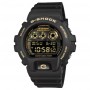 CASIO G-SHOCK - COLLEZIONE CLASSIC SERIE 6900 - 50MM