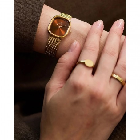 DANIEL WELLINGTON - OROLOGIO MARGOT BRAIDED MESH AMBER GOLD - 24X26MM